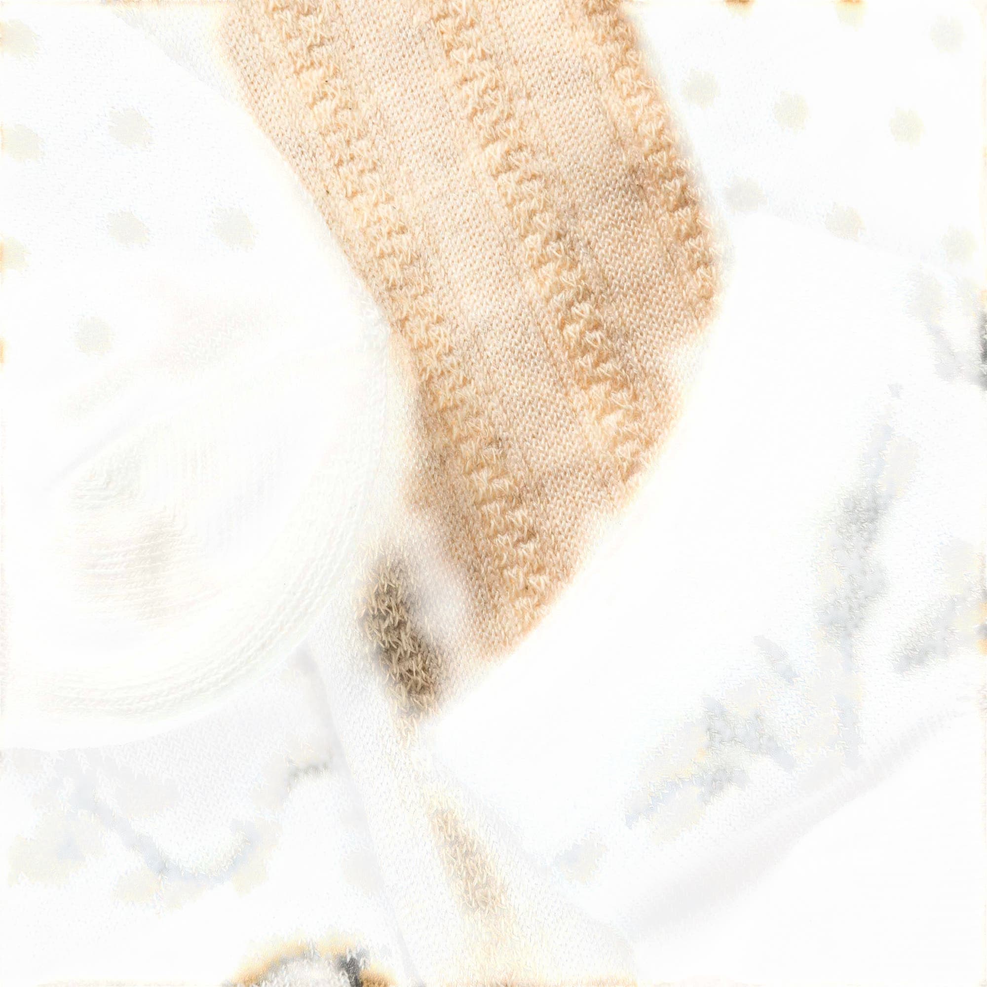 Chaussettes Femme beige