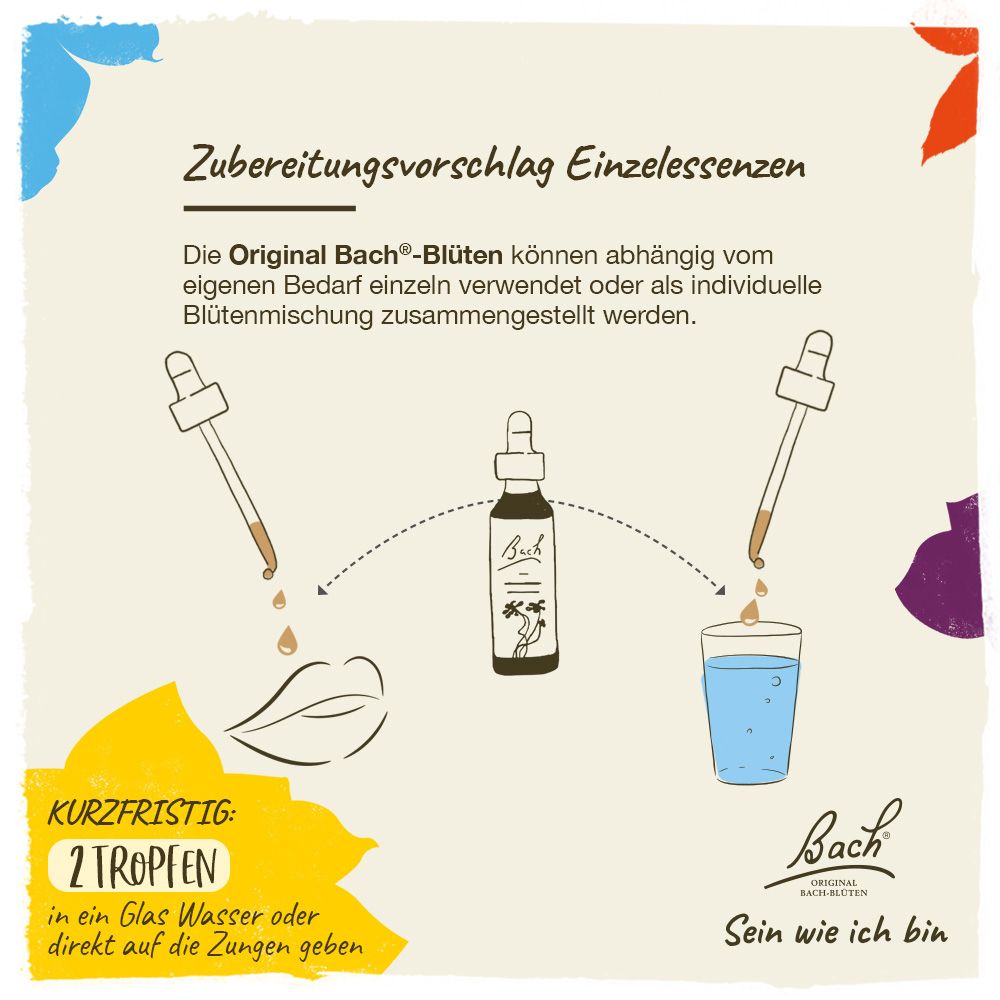 BACH®-BLÜTE HOLLY (Stechpalme)