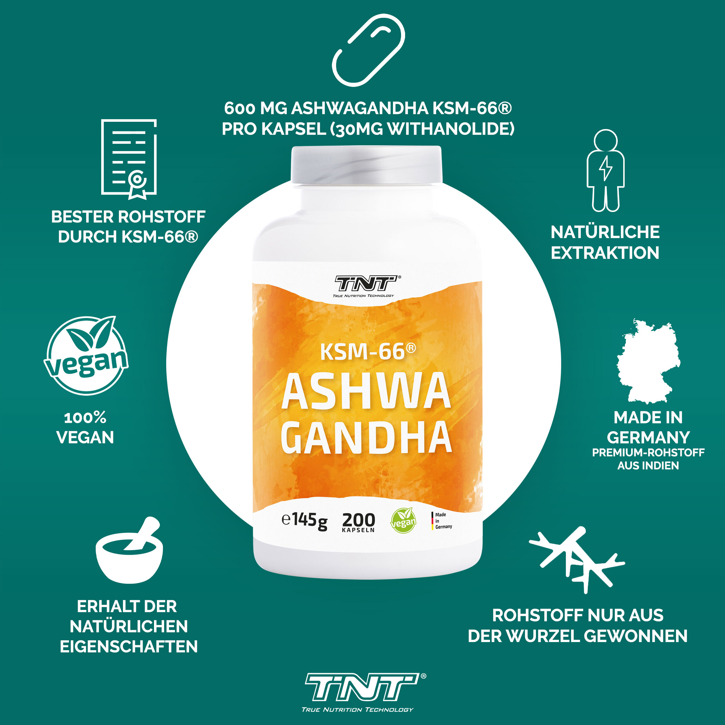 TNT Ashwagandha KSM-66® - hochdosiert: 600mg pro Kapsel
