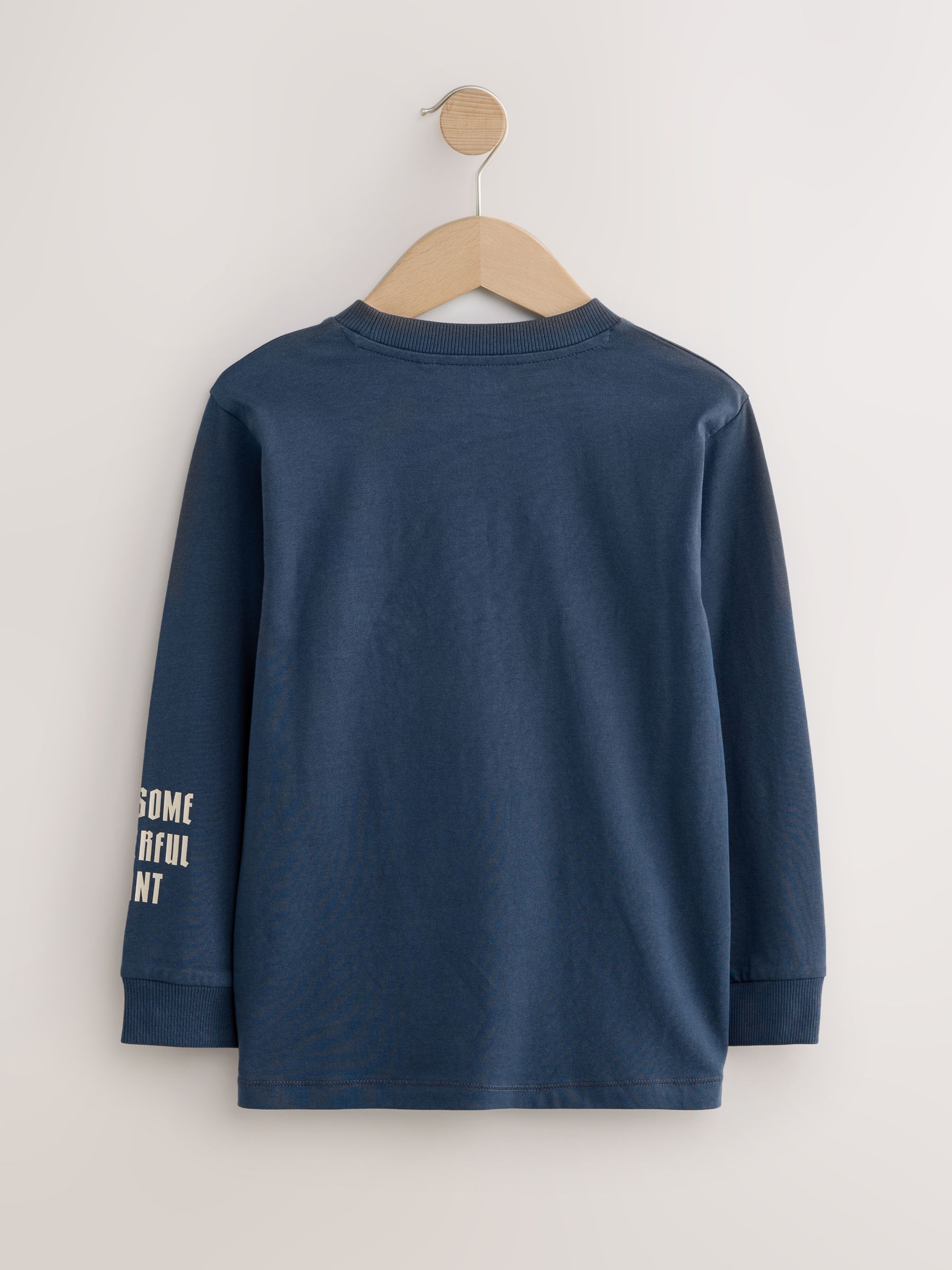 Marineblauw/blauw/ecru dinosaurus - Bedrukte T-shirts met lange mouwen verpakking van 3 (3 - 16 jr)