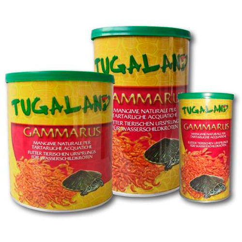 Tugaland Gammarus ampliado para tartarugas