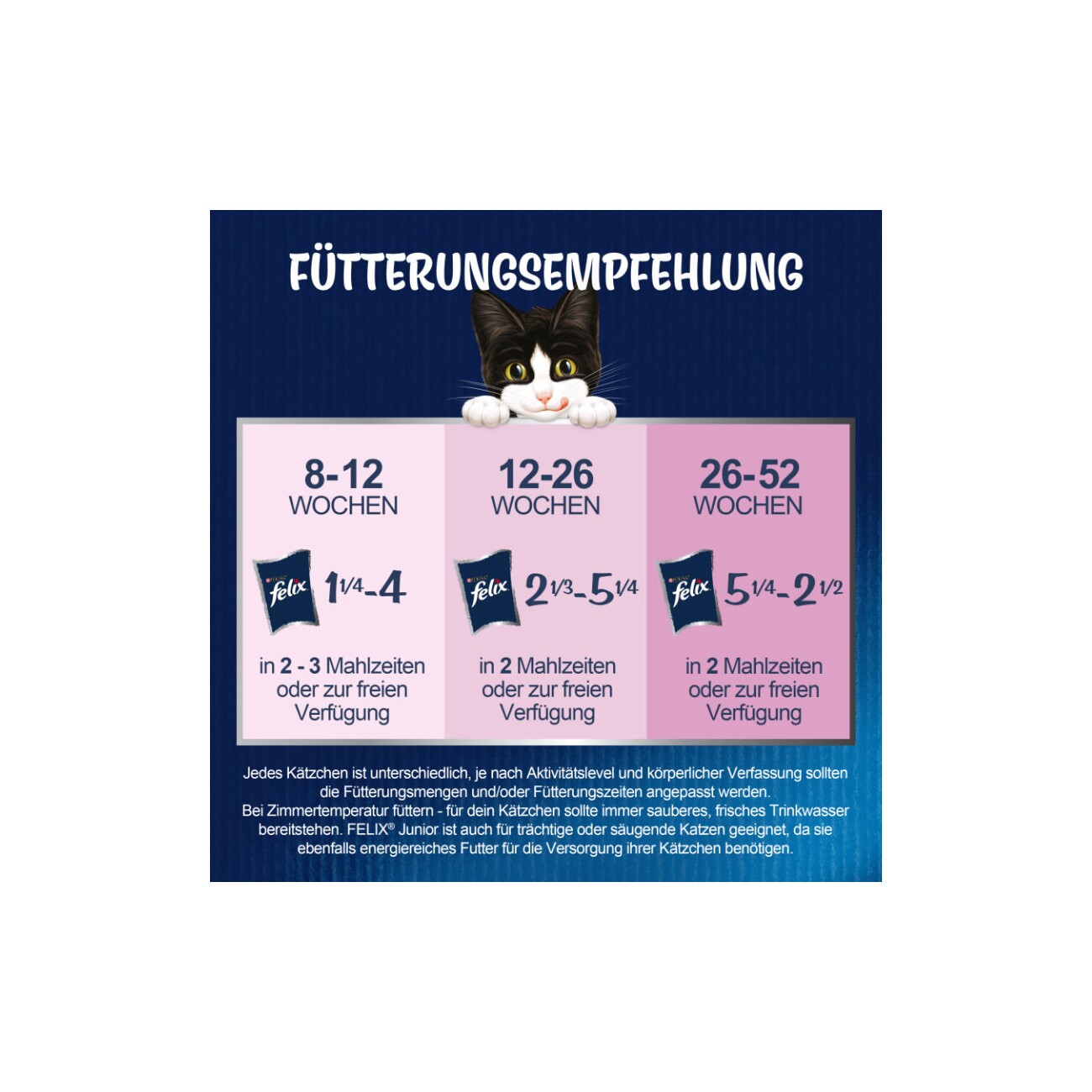 Felix So gut wie es aussieht Junior 26x85 g