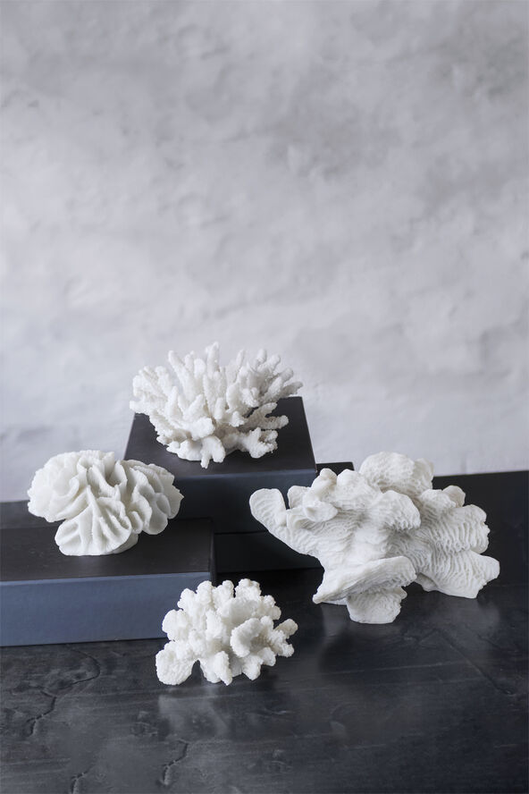 Mette Ditmer Coral, branches - small Hvid