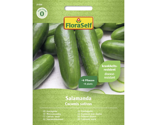Snackkomkommer Salamanda FloraSelf F1 hybride groentezaden
