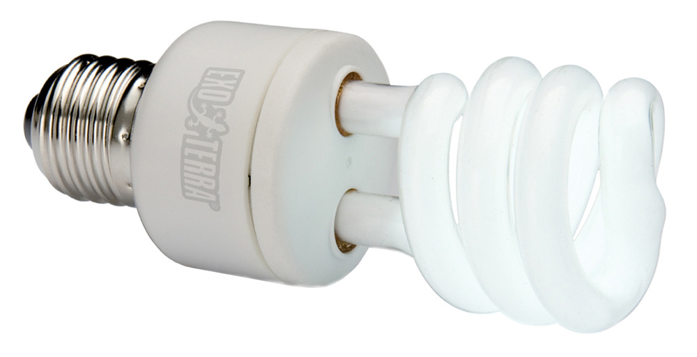 Ampoule fluocompacte natural light