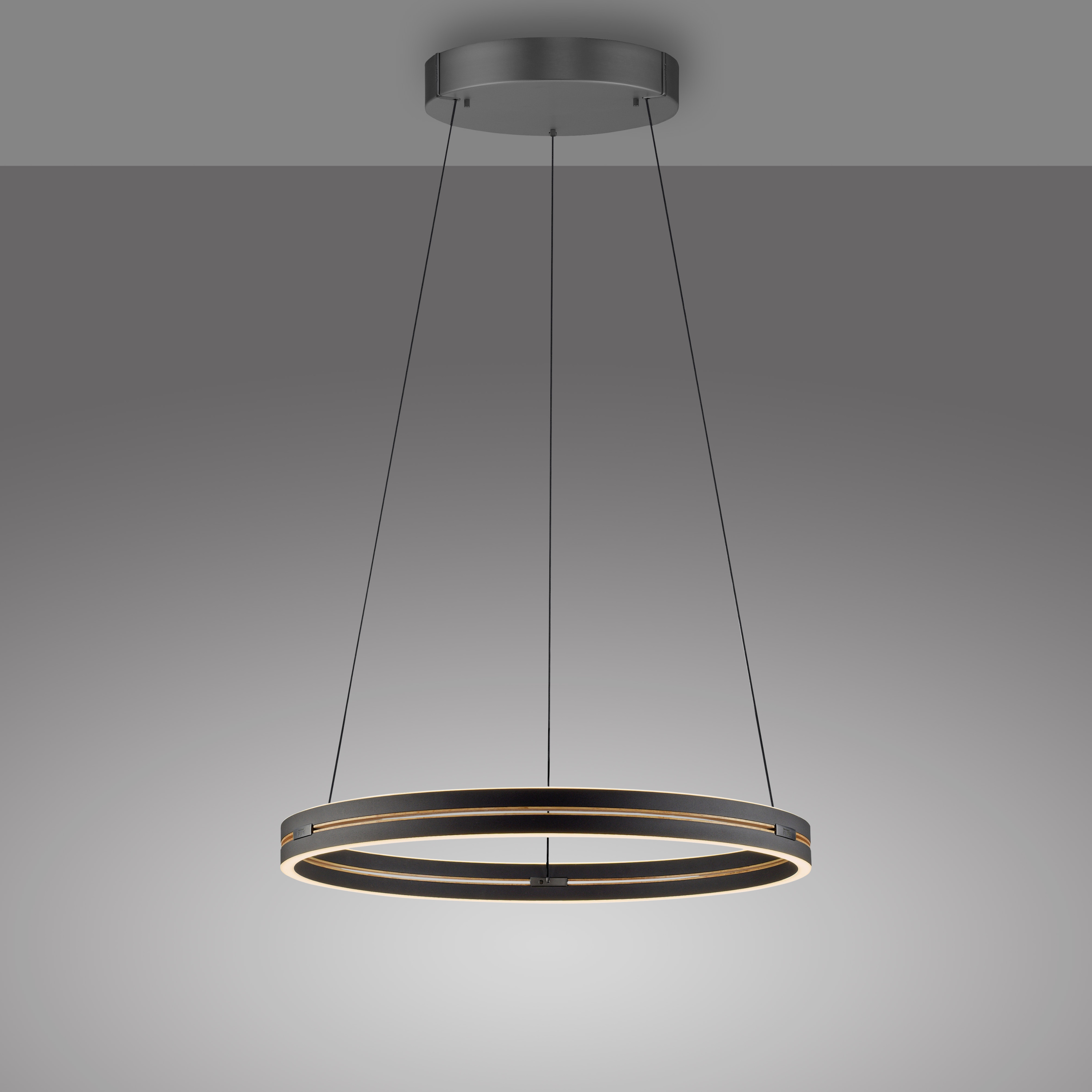 Pendelleuchte PURE E-LOOP