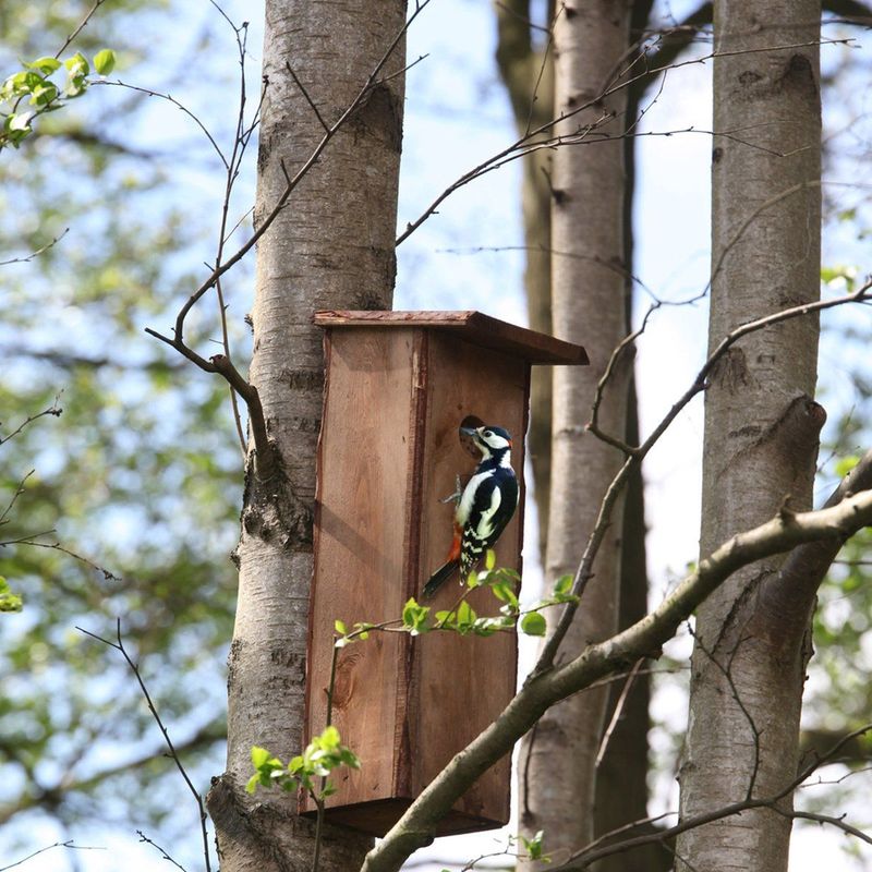 Esschert Design Nestkast Grote Bonte Specht - Vogelhuisje