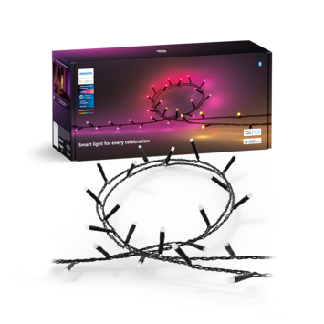 Philips Hue lichtsnoer Festivia 500 LED lampjes - 40m