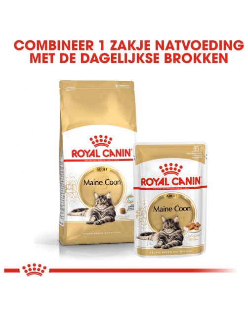 Royal Canin Maine Coon Adult - Kattenvoer