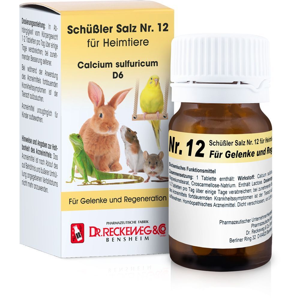 Schüßler Salz Nr. 12 für Heimtiere Calcium sulfuricum D6