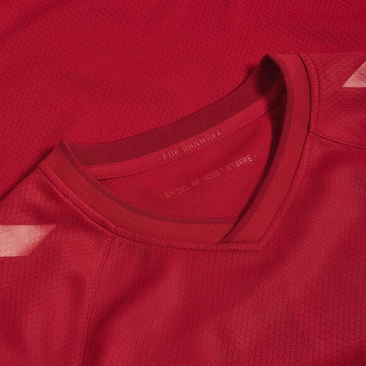 Hummel DBU Danmark hjemmebanetrøje 22 Rød