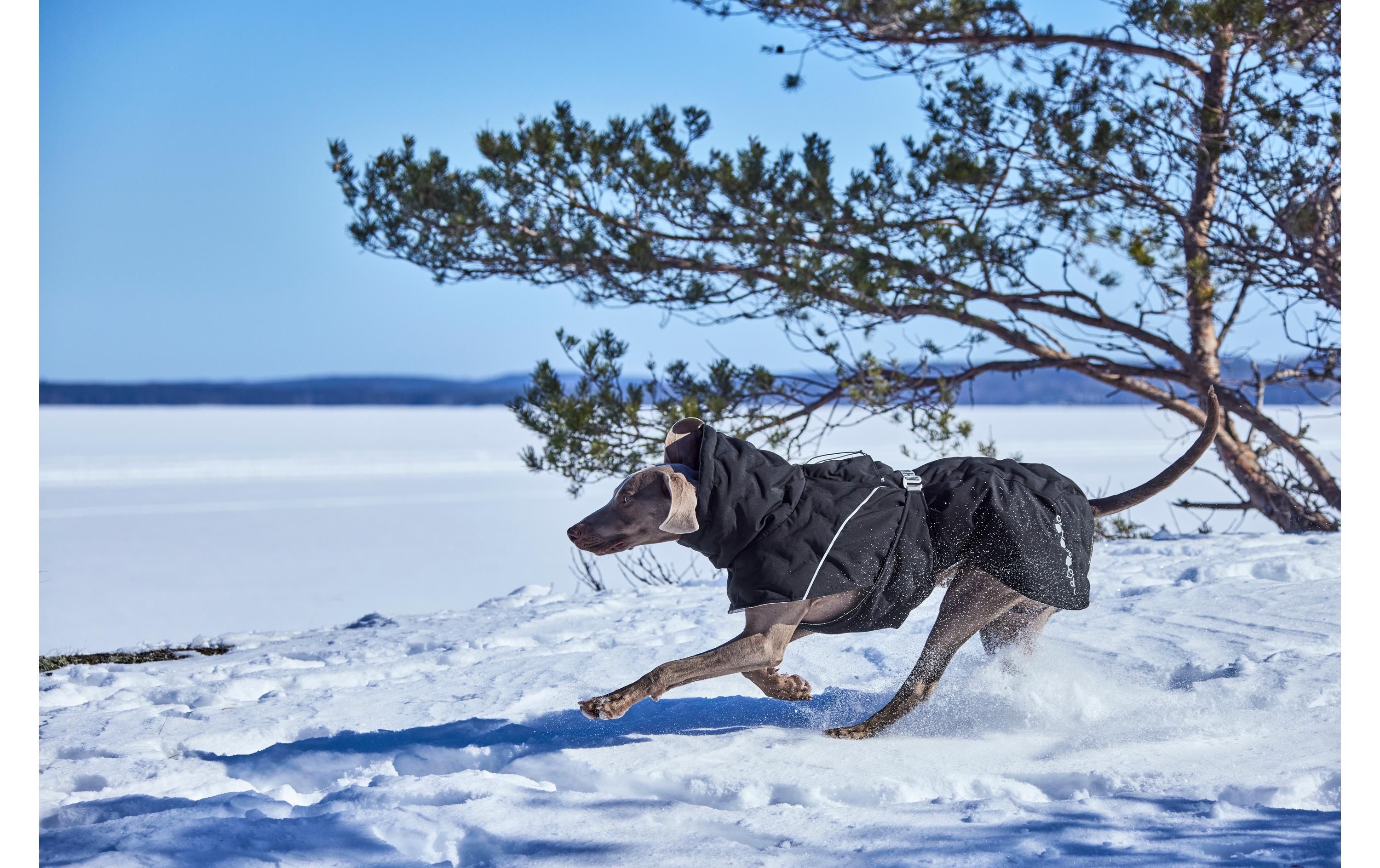 Extreme Warmer V3 Eco Schwarz, 45 cm<br>Winterjacke für Hunde
