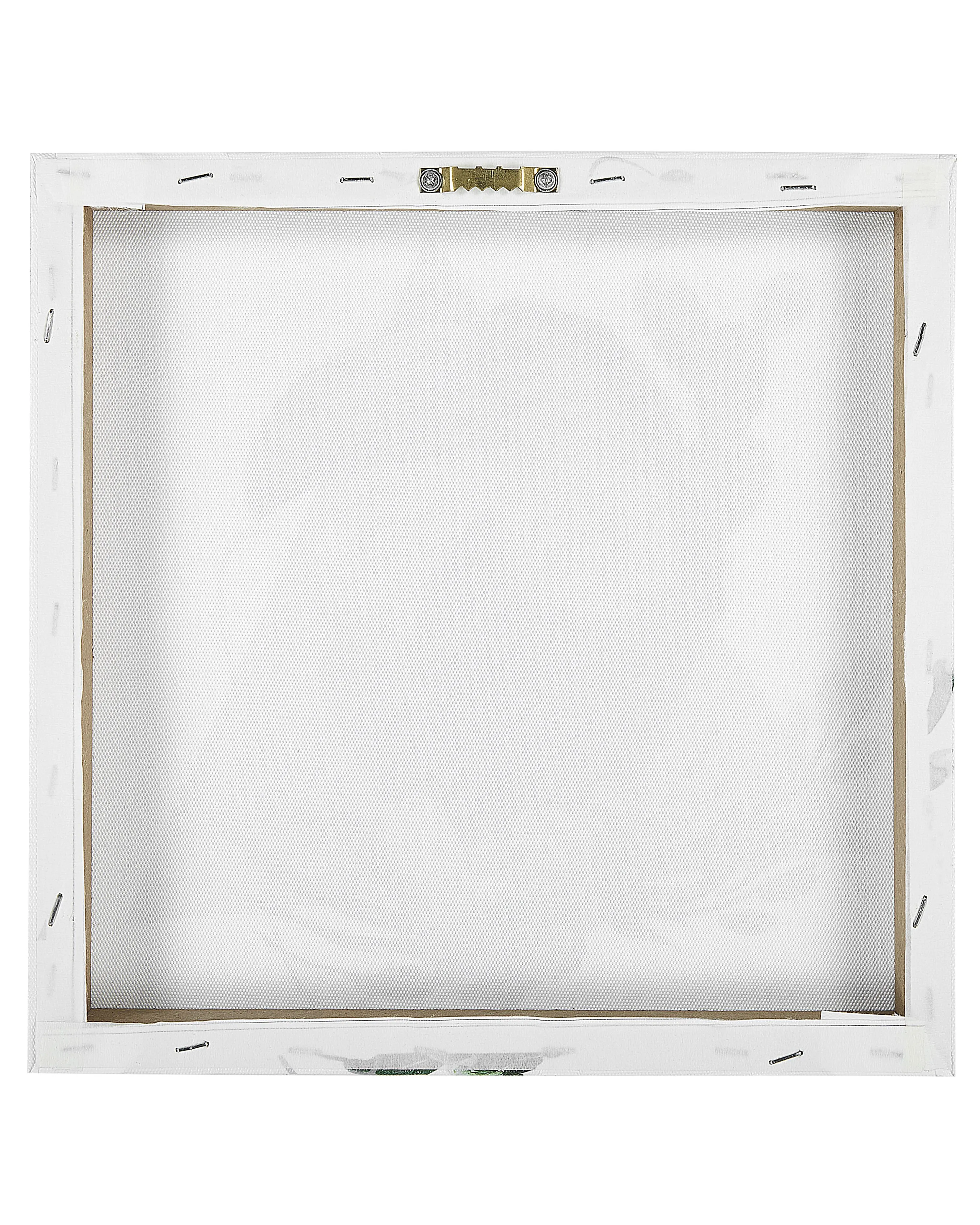 Set van 3 canvassen MENAKA Dieren motief 30 x 30 cm Meerkleurig