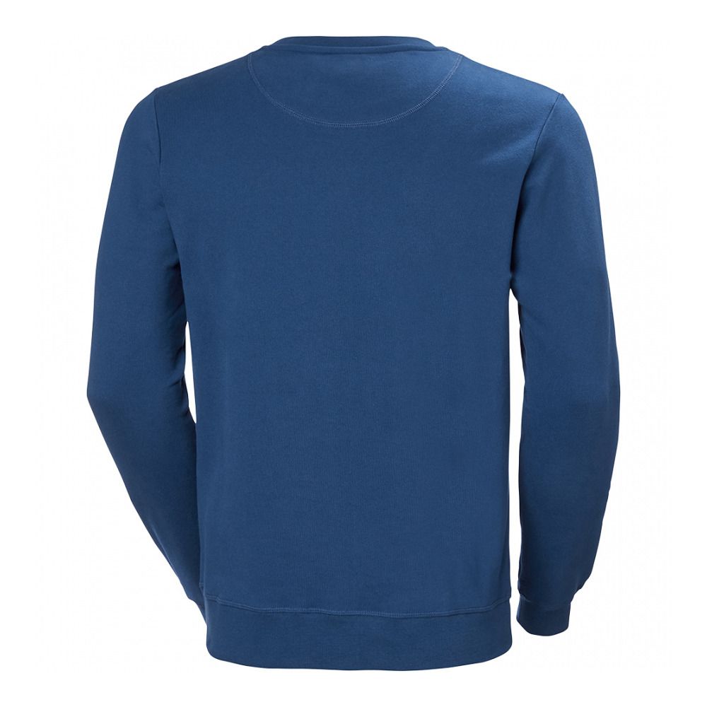 Helly Hansen HH LOGO - Sweat Homme deep fjord