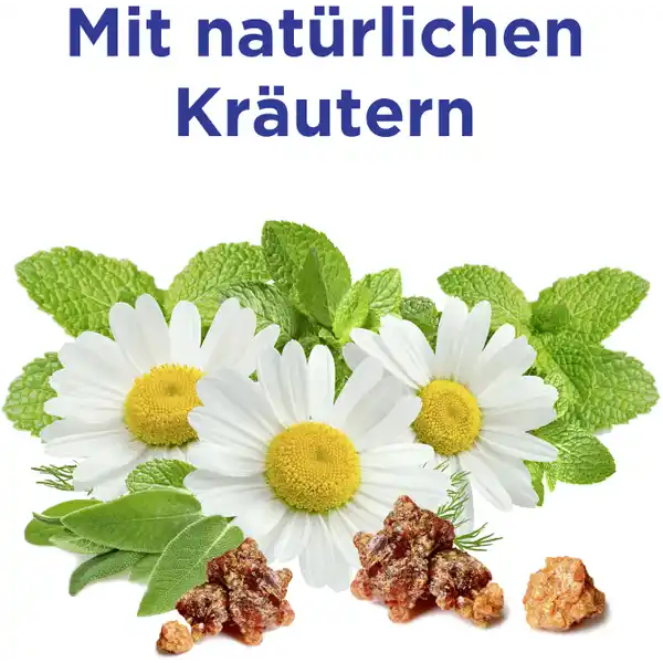 natürliche Kräuter Zahnpasta
