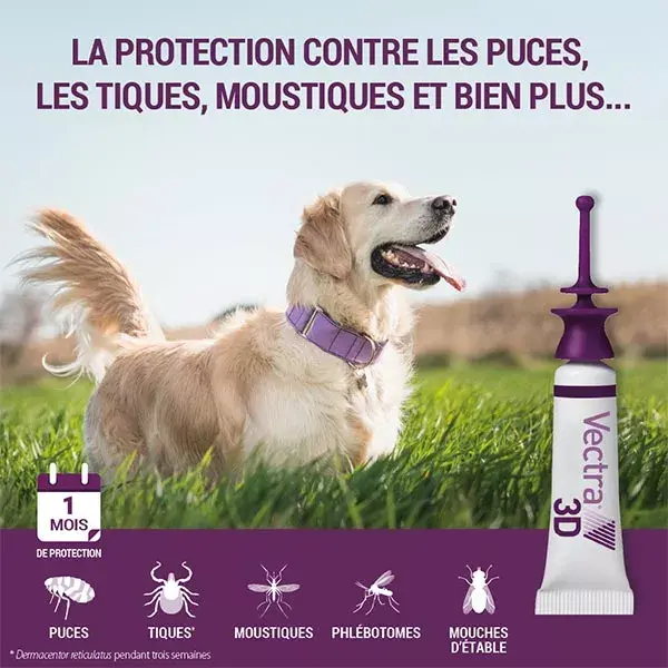Vectra® 3D solução spot-on para cães com peso superior a 25–40 kg, 12 pipetas.