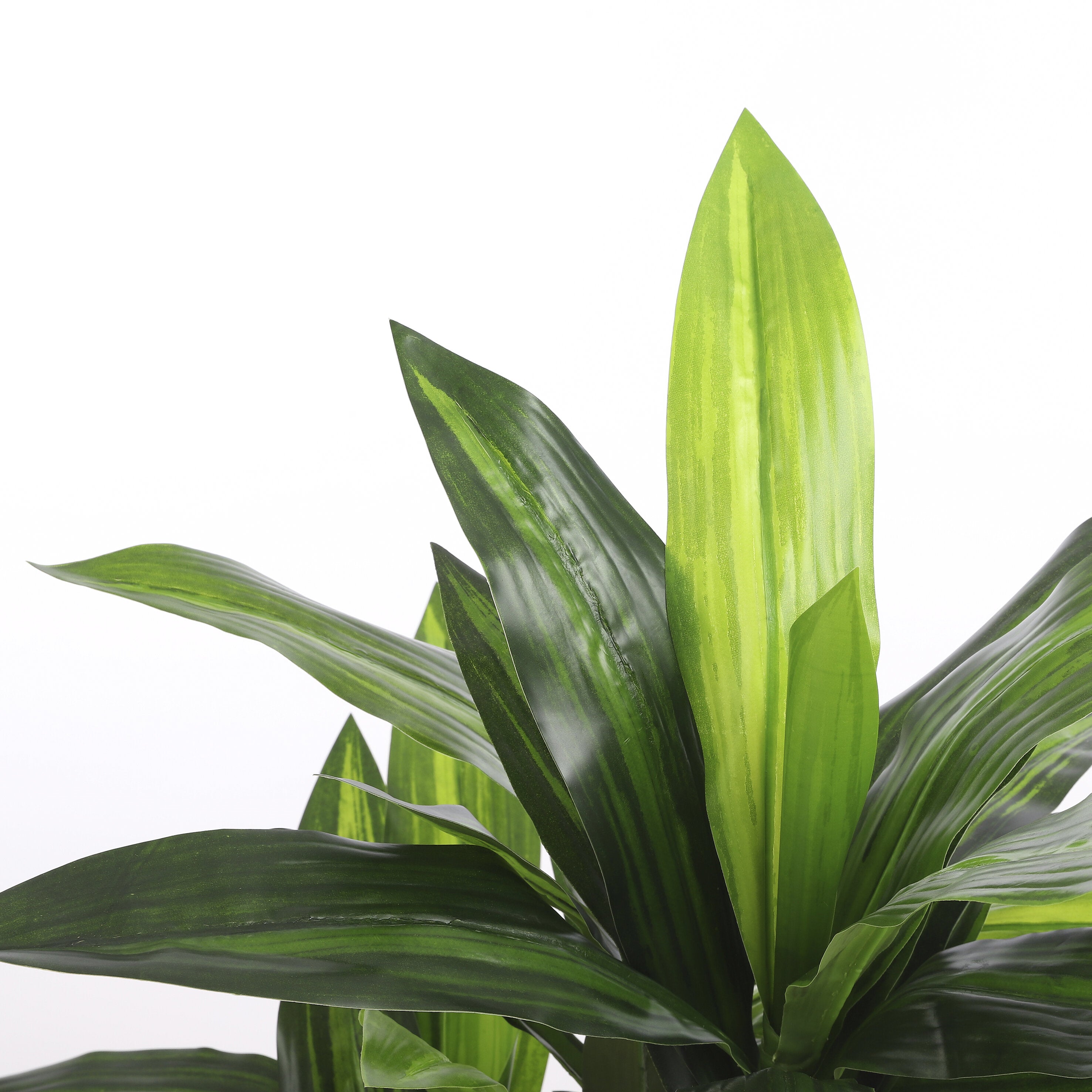 Mica Decorations Dracaena in pot groen - h110xd60cm