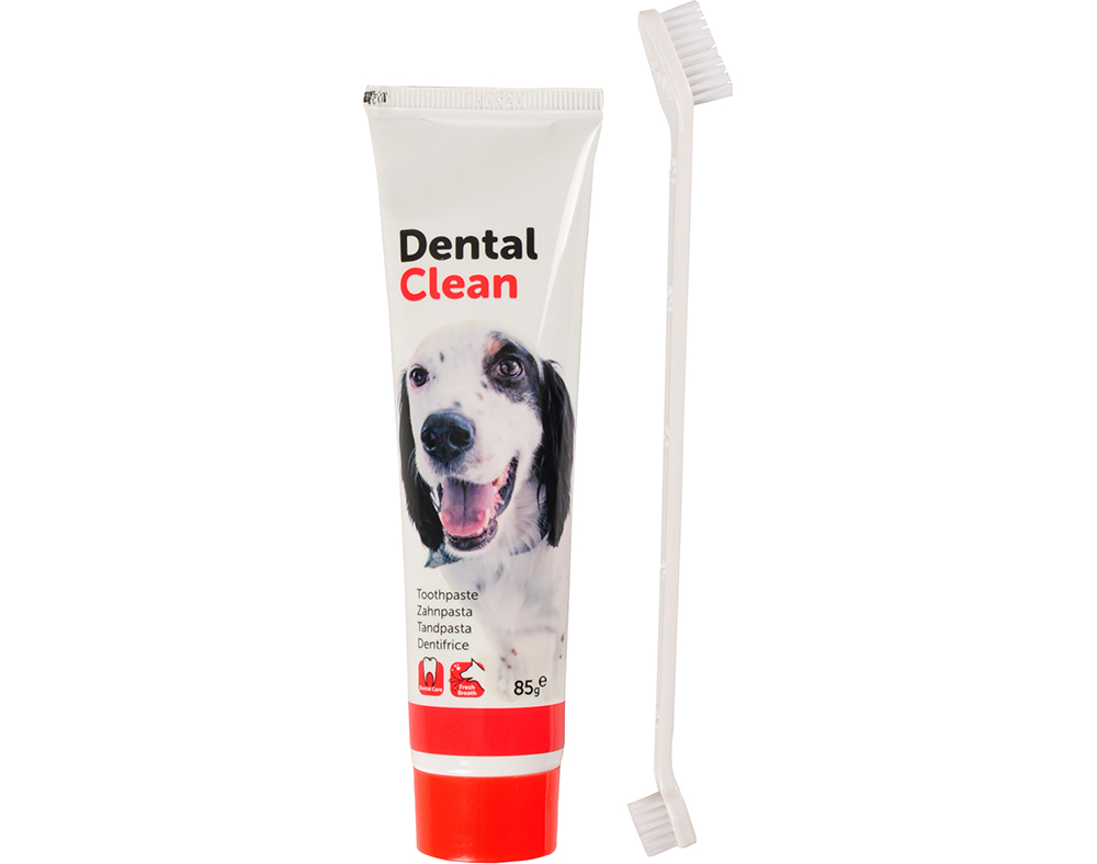 ESCOVA E PASTA DE DENTES FLAMINGO PARA CÃO