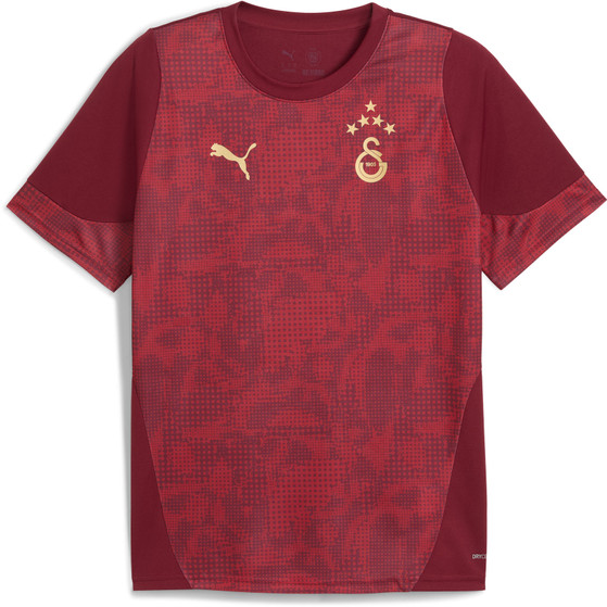 Puma Galatasaray Training Shirt 2025/2026