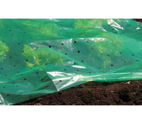 Dehner Pflanzfolie, 10 x 1,5 m