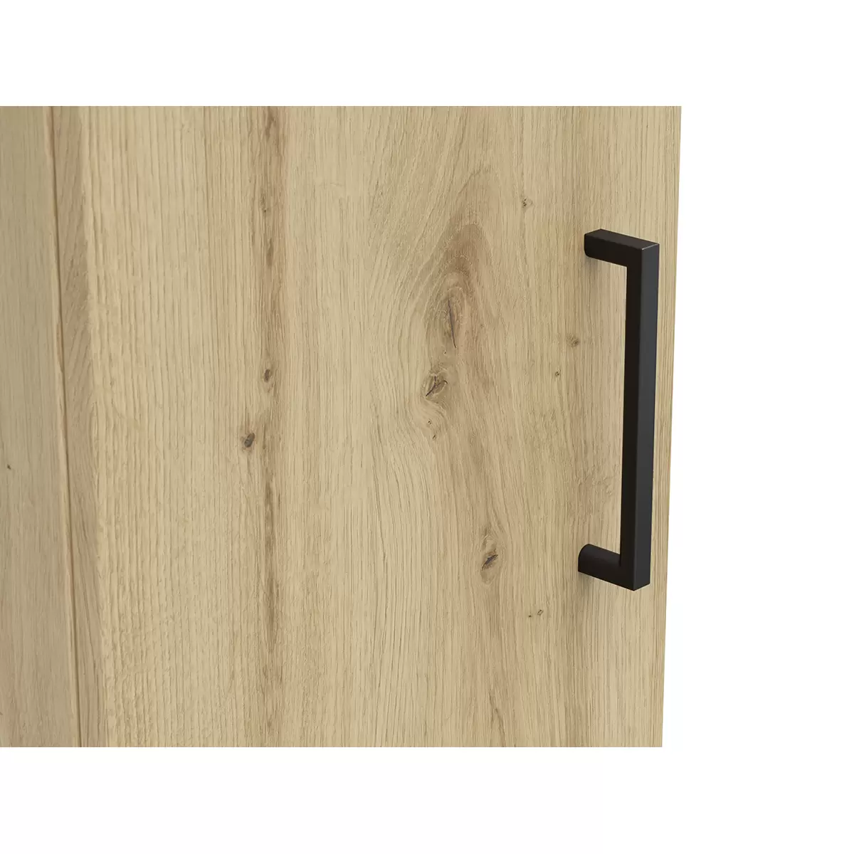 Regal 1T Cabinet Artisan Eiche
