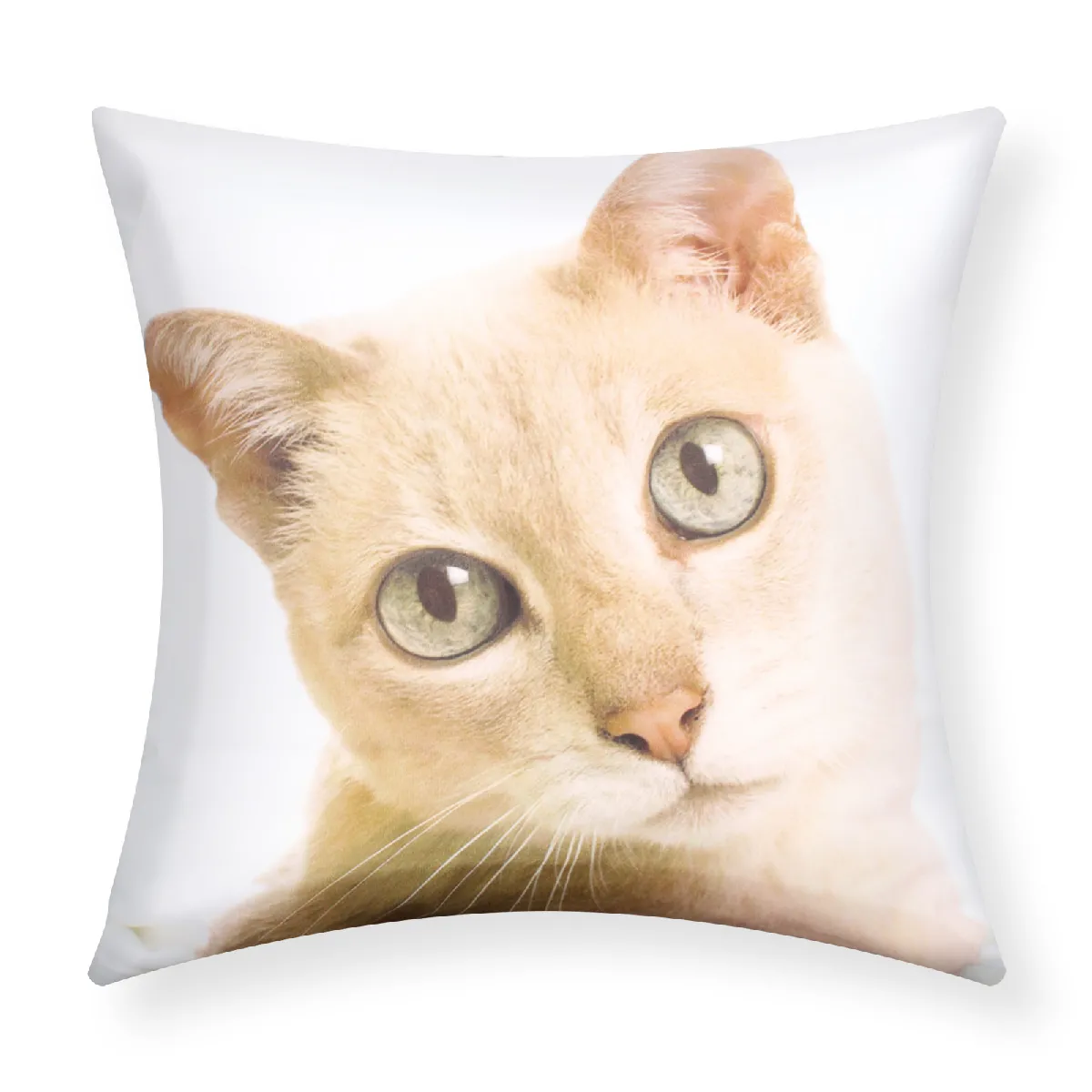 AVIZAR Lot de 2 Housses de Coussin 40x40 cm Motif Chat