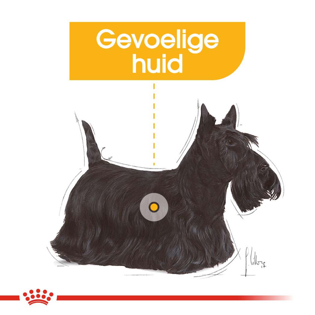 Royal Canin Dermacomfort Mini - Hondenvoer - 3 Kilogram - gevogelte