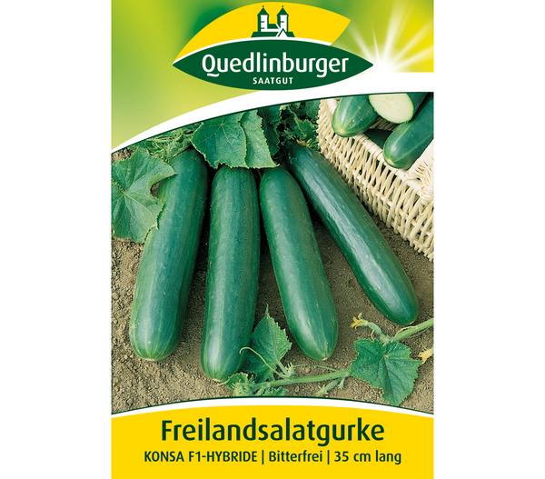 Quedlinburger Samen Freilandsalatgurke 'Konsa'