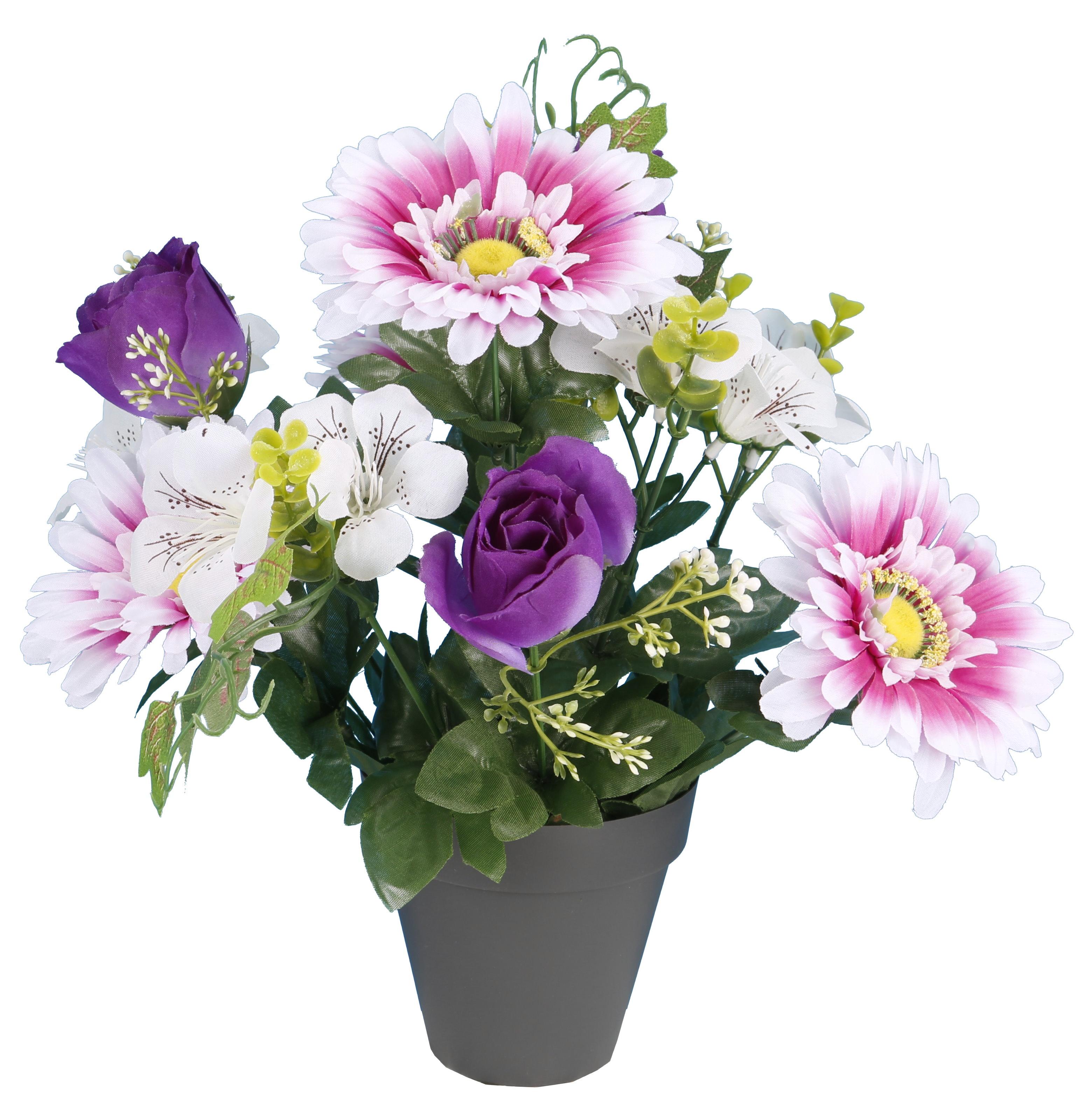 POT GERBERAS BOUTONS