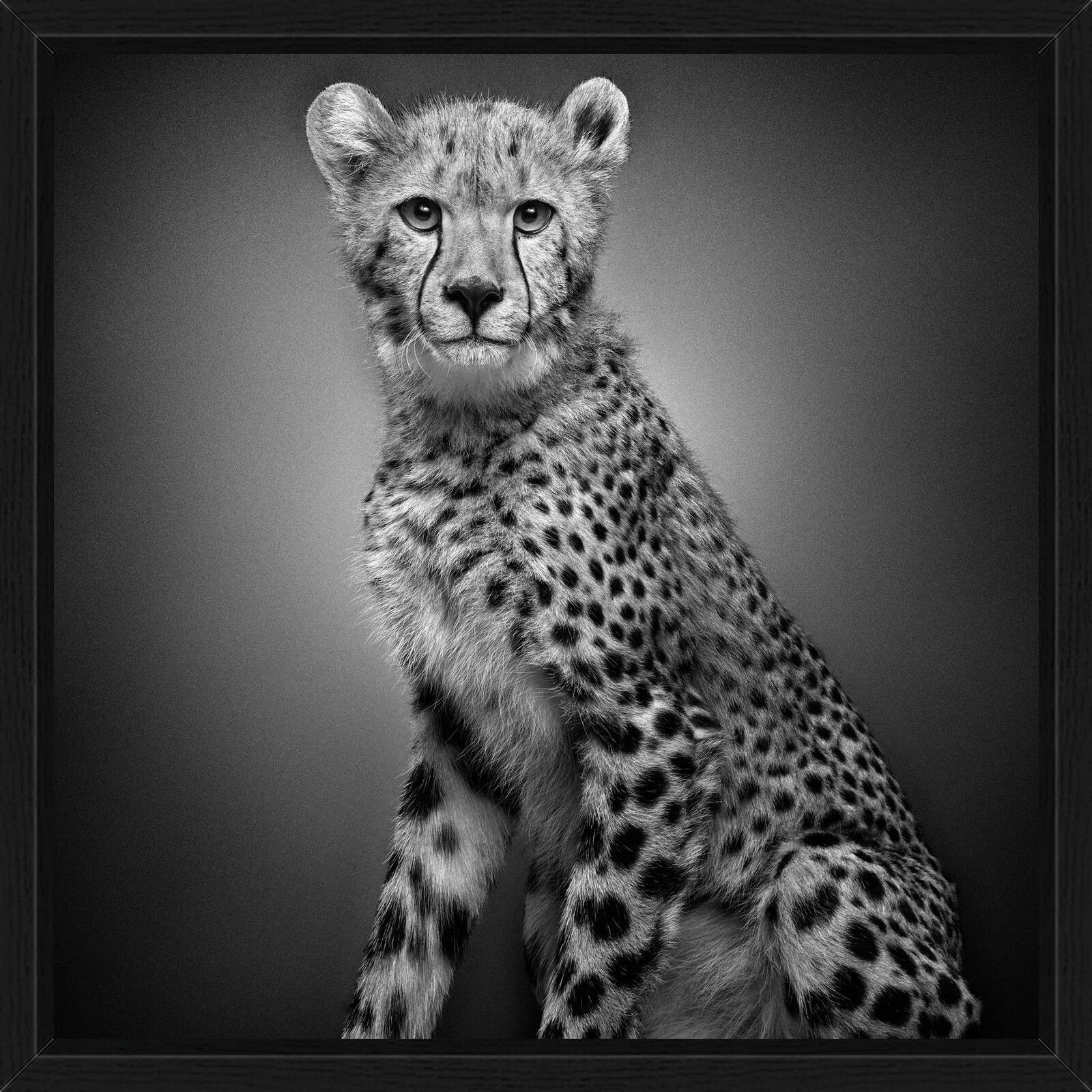 Mali by Alexander Von Reiswitz - Limited Edition. Edition of: 150. Signed.