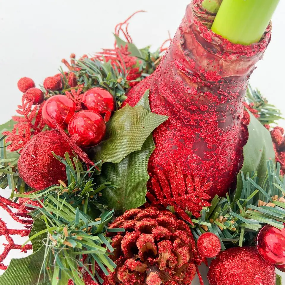 Amaryllis - Hippeastrum 'Kerstkransmix'