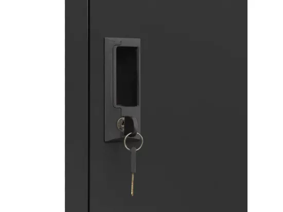 Armoire à casiers Anthracite 38x45x180 cm Acier