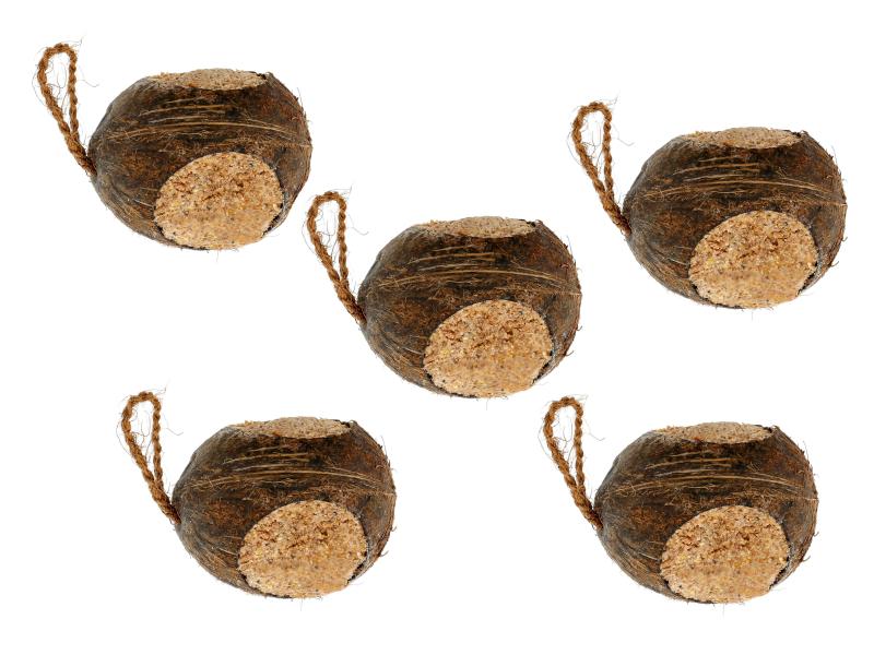 Eric Schweizer Wintervogelfutter Coconut, 5 x 500 g Winterfutter für freilebende Vögel