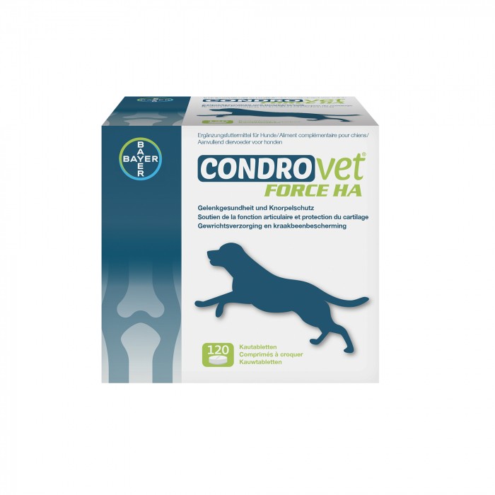Condrovet Chien