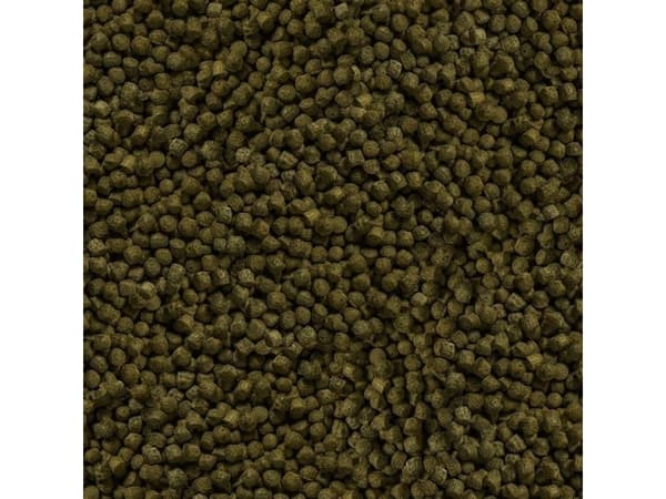 Sera Koi Color Large 3.800 ml, granulat - pokarm postawowy dla Koi