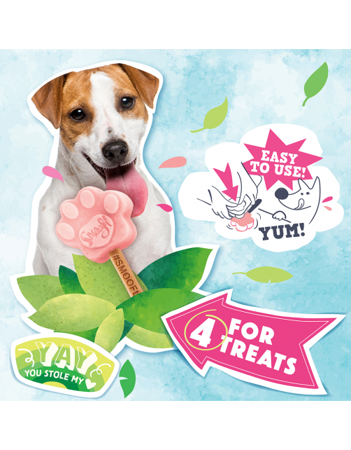 Smoofl Honden Ijsvorm - Hondensnacks - Roze M