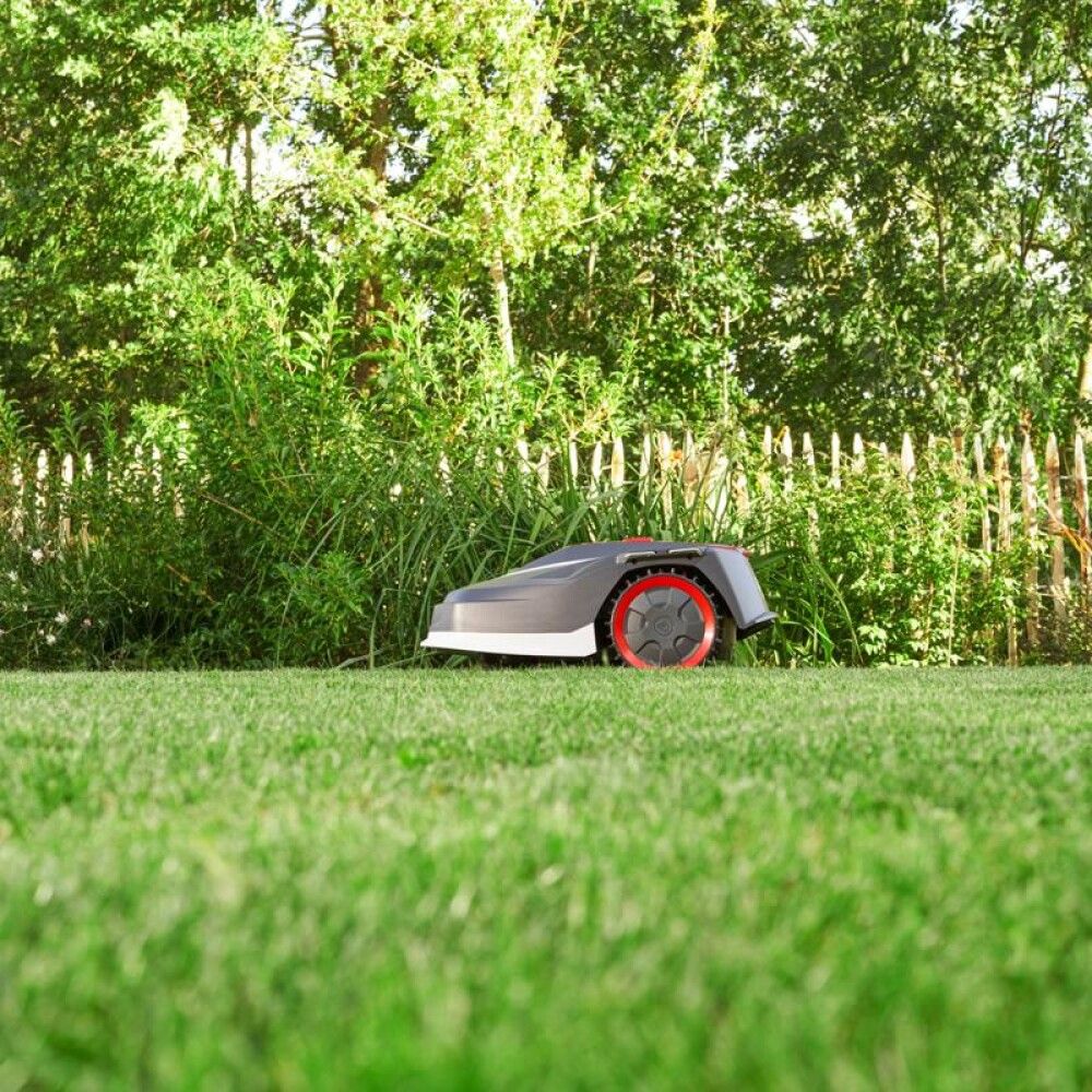 ROBOTGRESSKLIPPER AL-KO ROBOLINHO 1300W WIFI 1300M²