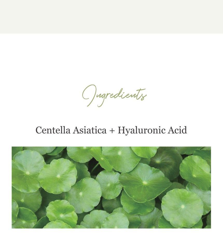 Schoonheid van Joseon - Centella Asiatica Kalmerend Masker