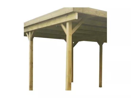 Carport en bois 2 emplacements 6x5 m Basic