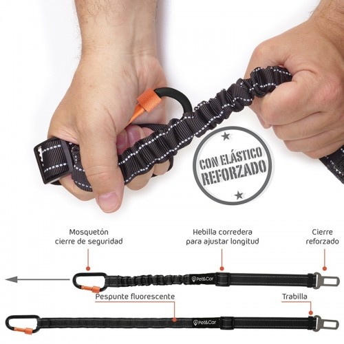 Cinto de segurança Foxtrot para cães de pequeno porte, laranja e preto.