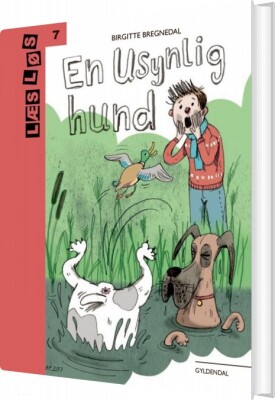 En Usynlig Hund - Birgitte Bregnedal - Bog