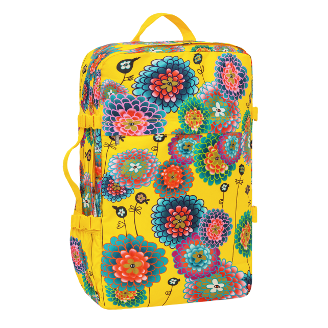Sac cabine - Explorer 27 Litres