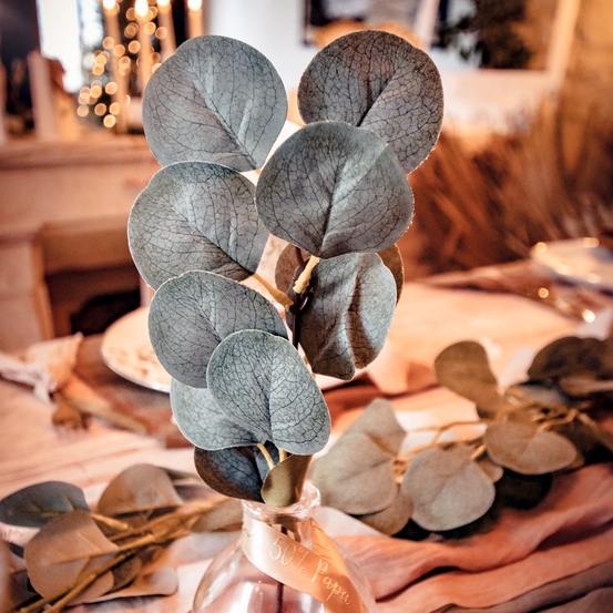 5 branches de feuilles d'eucalyptus vertes - 35cm