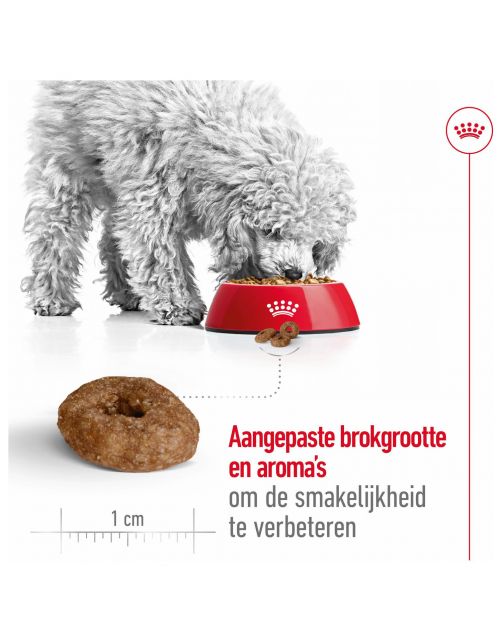 Royal Canin Mini Ageing 12+ - Hondenvoer