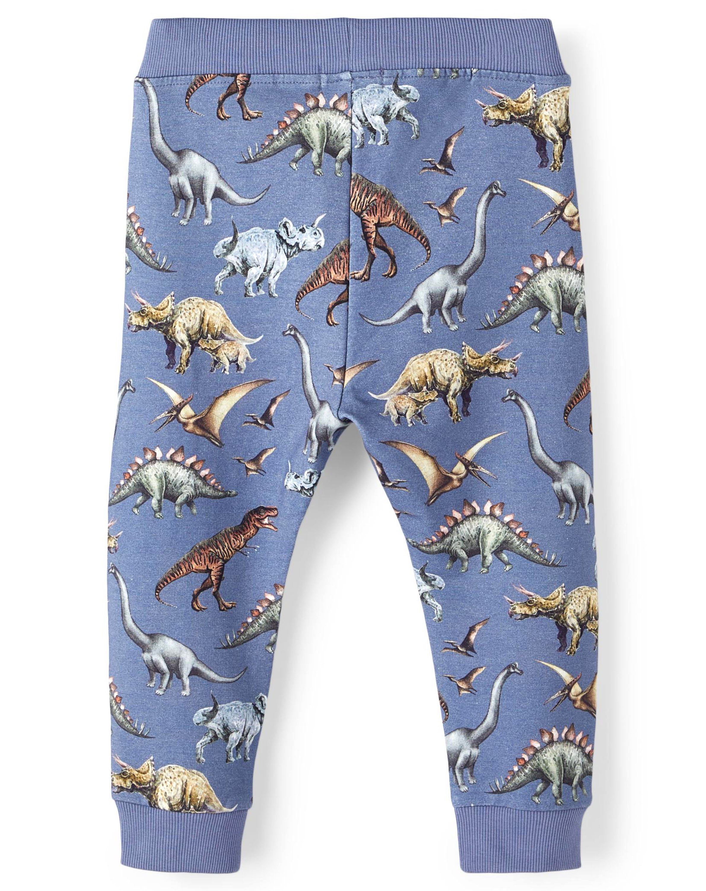 Sweathose NMMDJURS DINOS in wild wind