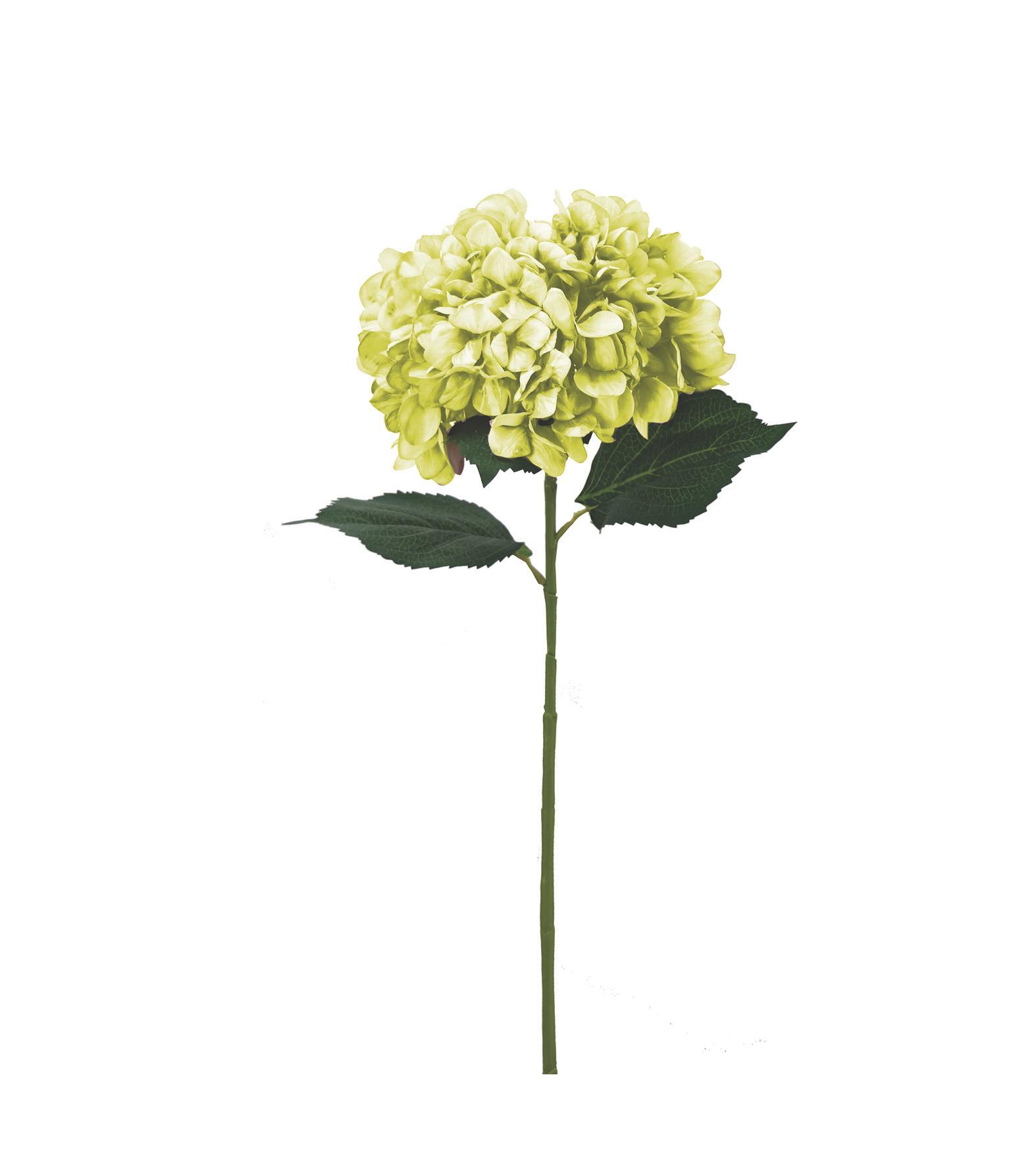 BRANCHE HORTENSIA H.80CM VERT