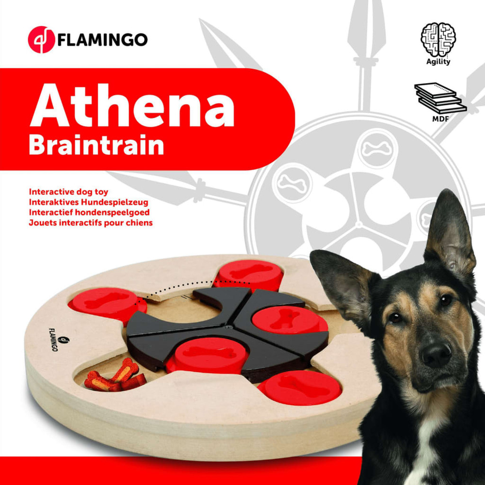 Jouet d'entraînement cérébral athena 25 cm bois
