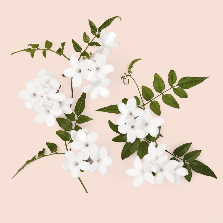 Gucci Gucci Bloom Intense