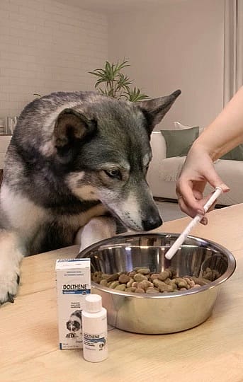 Dolthene Ontwormen Hond 20 ml 1 flacon