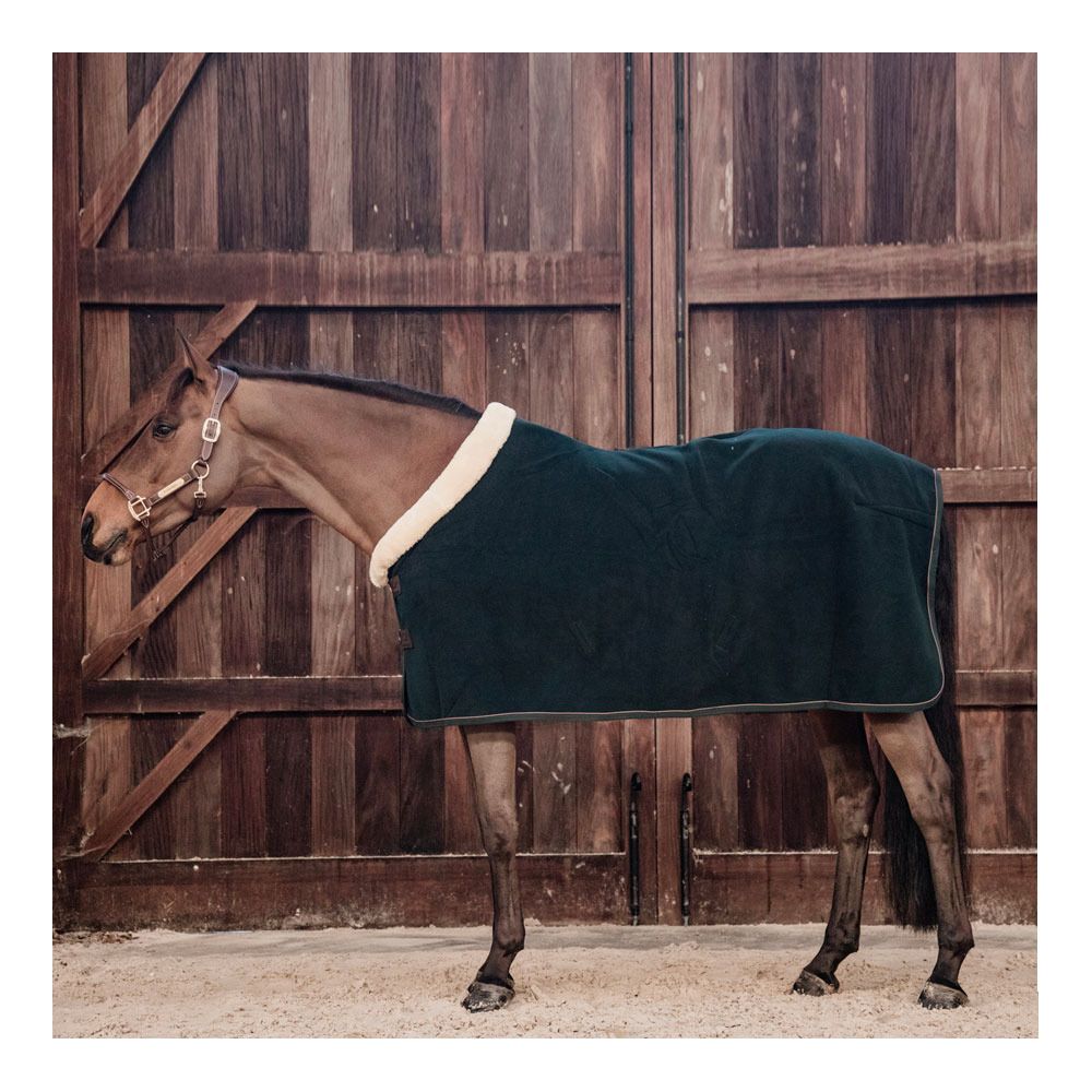 Kentucky SHOW HEAVY - Chemise séchante pine green